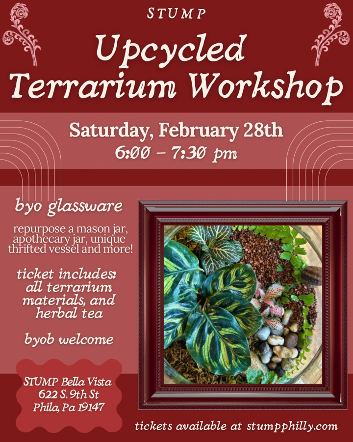 Upcycled Terrarium Workshop (Bella Vista)
