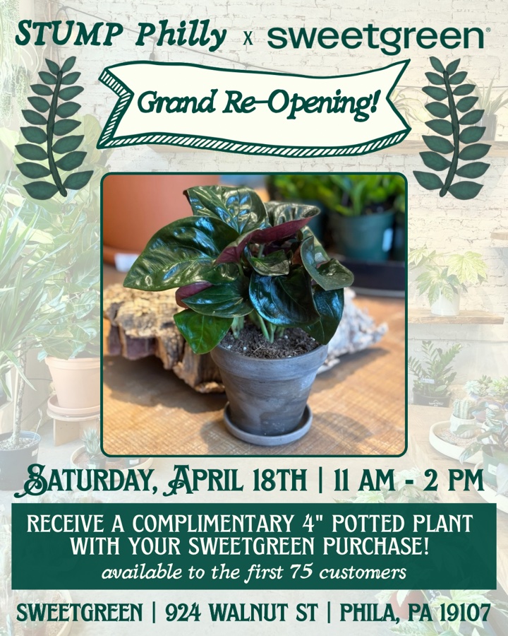 STUMP Philly x Sweetgreen: Free potted plant with Sweetgreen purchase! 🌱