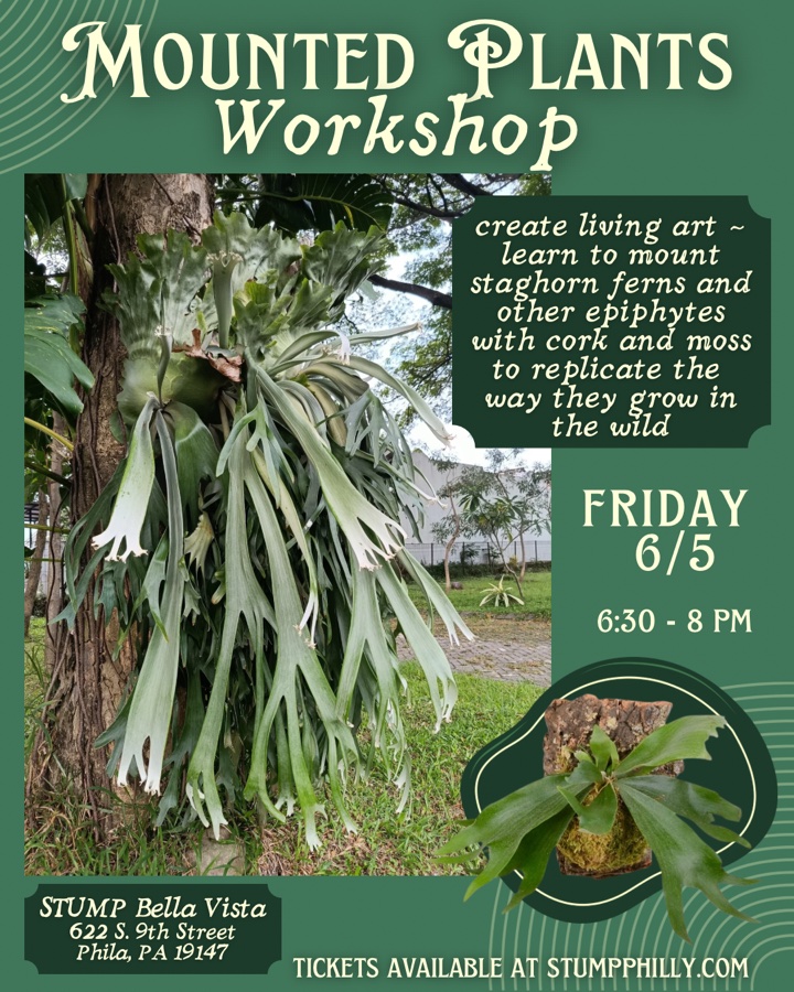 Mounted Plants Workshop