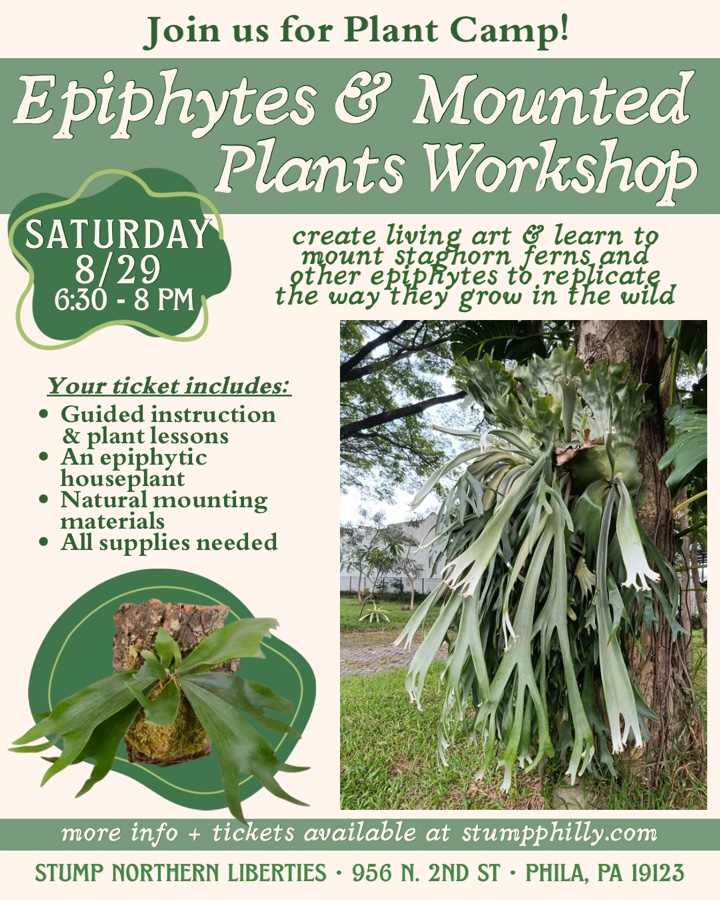 Epiphytes & Mounted Plants Workshop (Plant Camp IV)