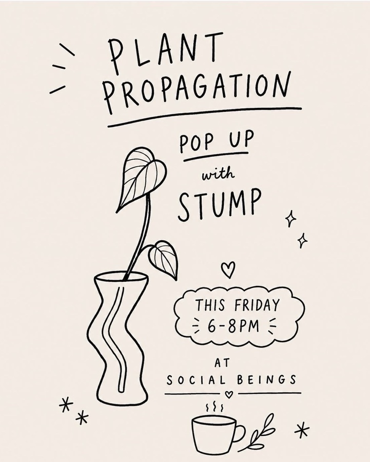 Plant Propagation Workshop w/ STUMP at Social Beings! 🌱