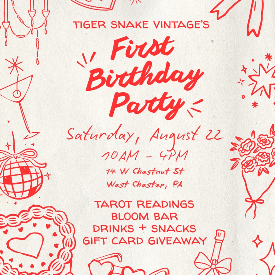 Our First Birthday Party