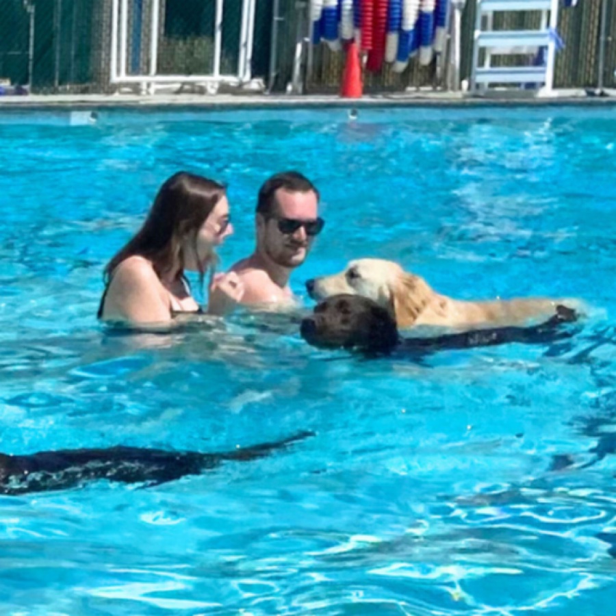 Paws in the Pool