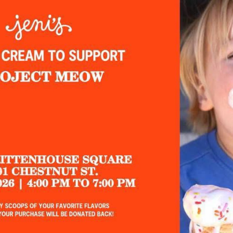 Eat Ice Cream to Support Projecr MEOW!