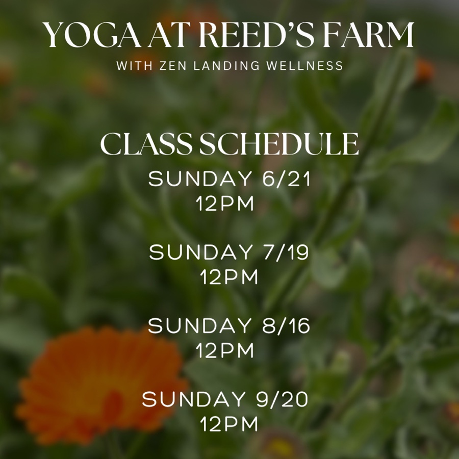 Yoga at the Farm