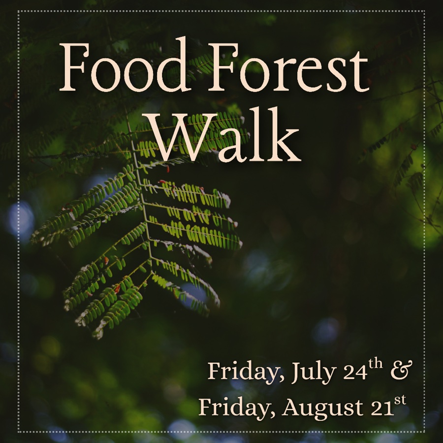Food Forest Walk