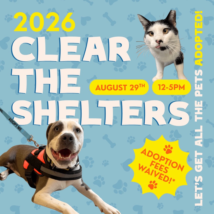 Clear The Shelters!