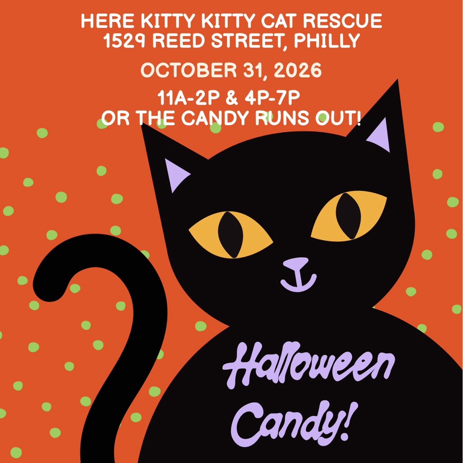 Trick or Treat!