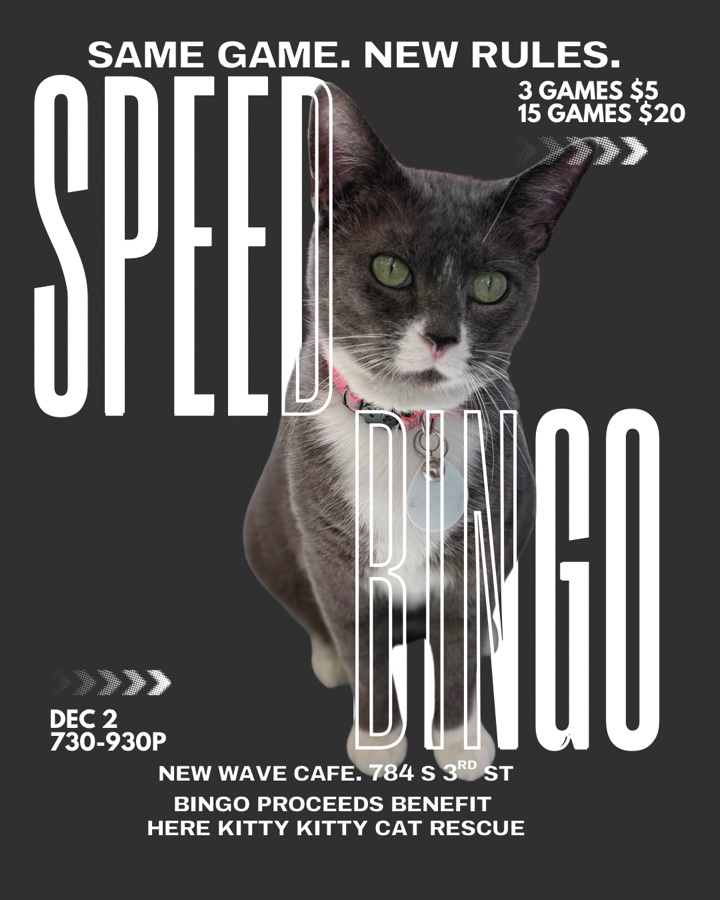 SPEED BINGO!