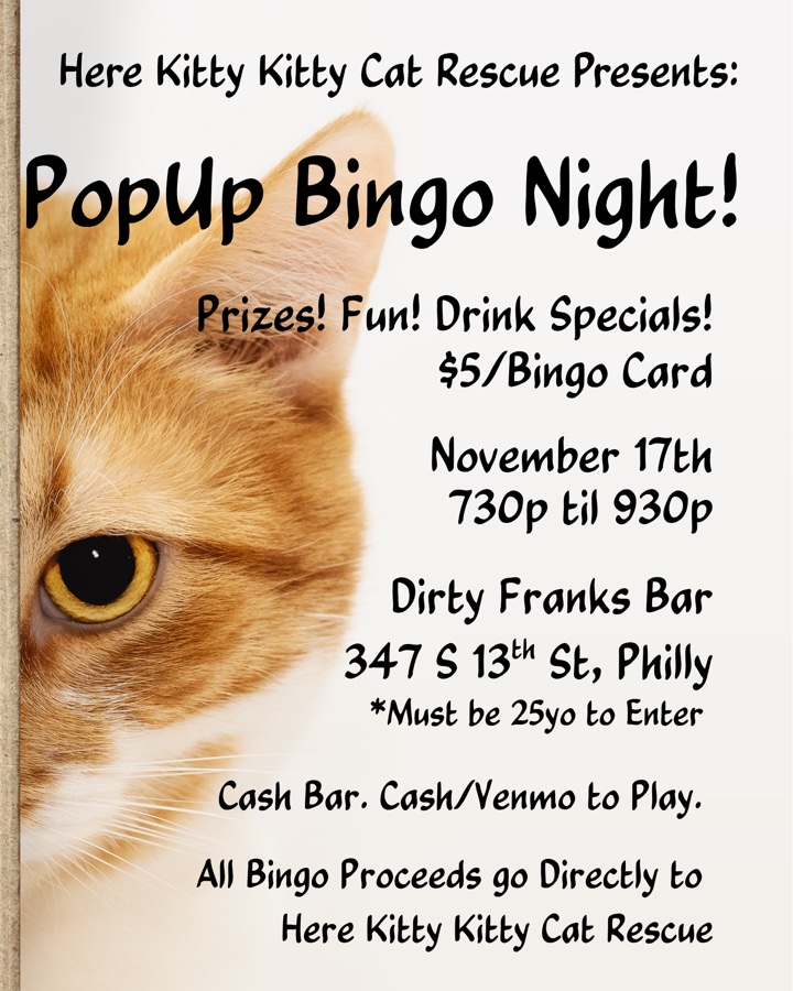 PopUp Bingo Night!