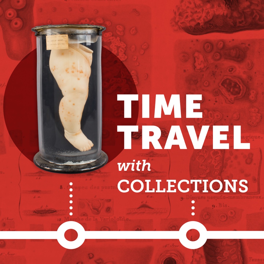 Time Travel with Collections