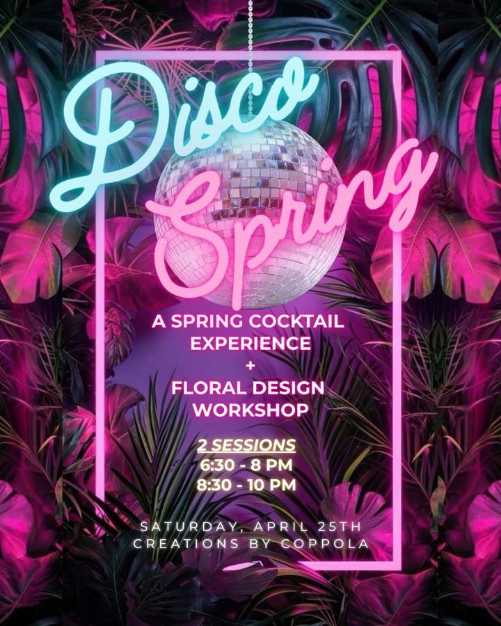 Disco Spring