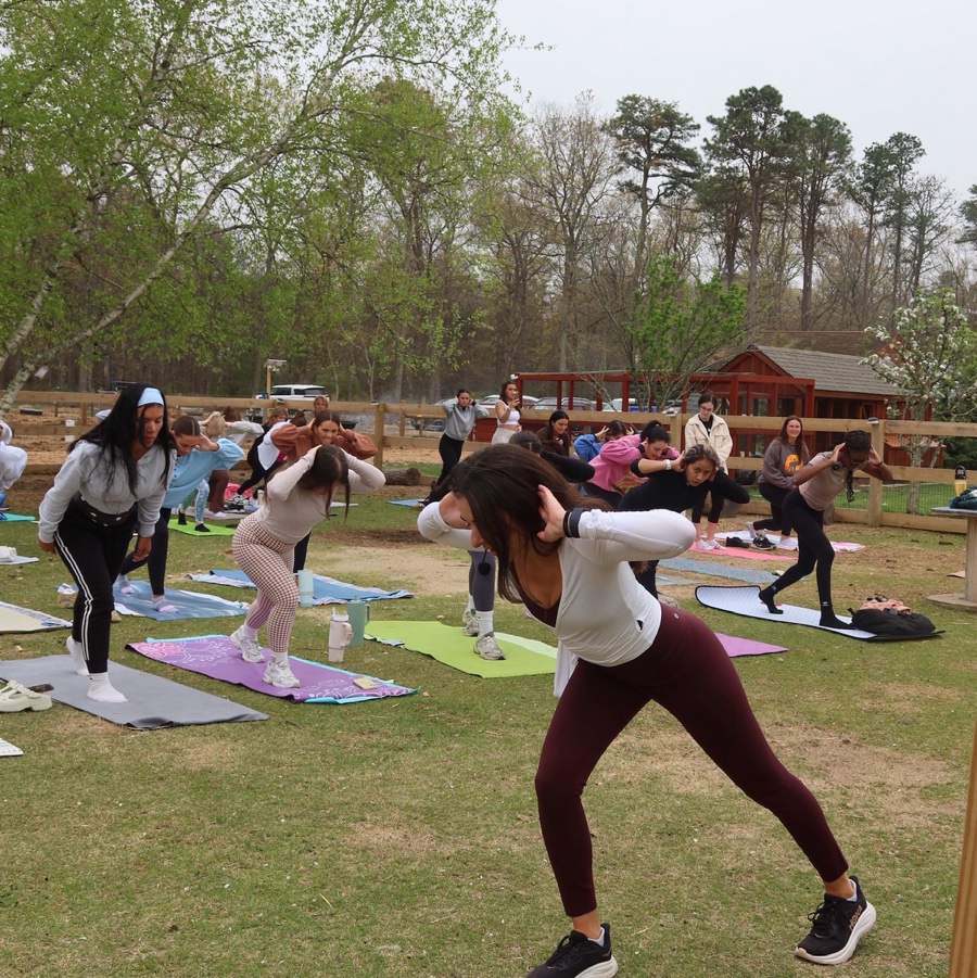 Pilates at Straight Shot Farm with Mini Cows & Goats