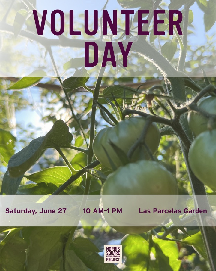 Join us at Las Parcelas Gardens!