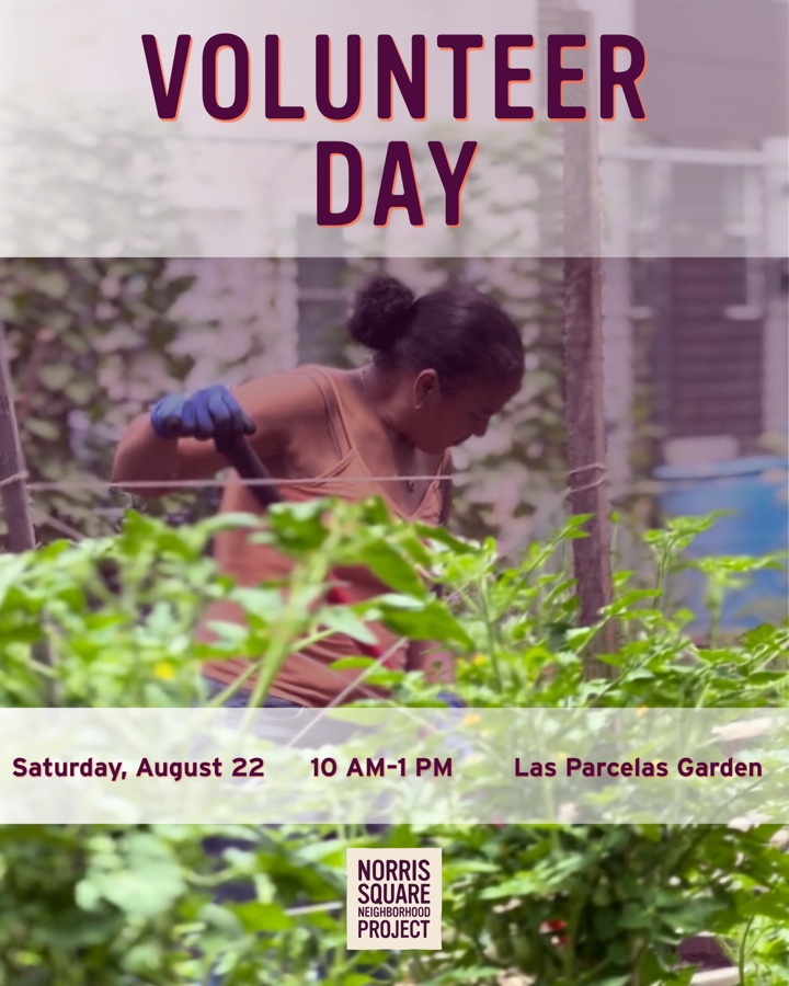 Get your hands dirty and help keep our gardens clean!