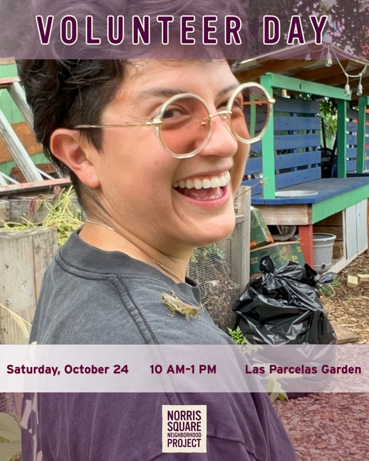 Monthly Volunteer Day