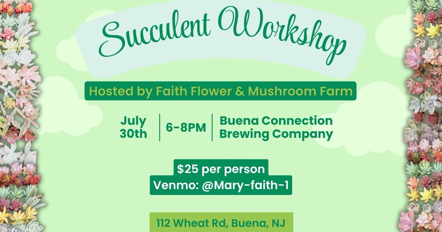 🌿 Succulent Workshop at Buena Connection Brewing Company 🌿