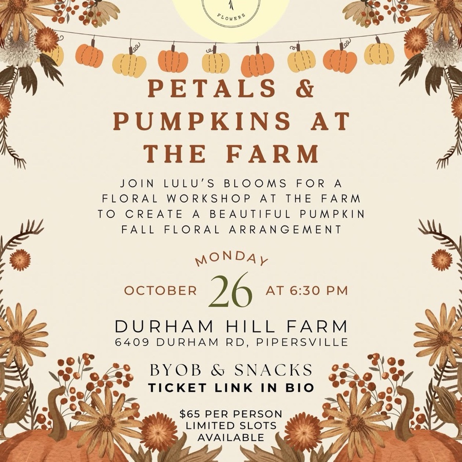 Petals and pumpkins at the farm🎃💐