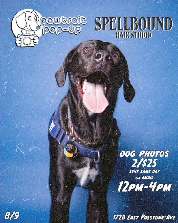 PET PHOTOS ON PASSYUNK!