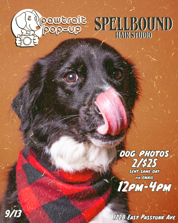 PET PHOTOS @ SPELLBOUND SALON