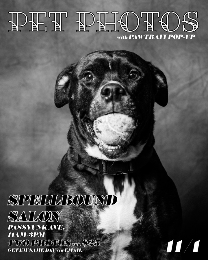 Pet Photos @ Spellbound Salon