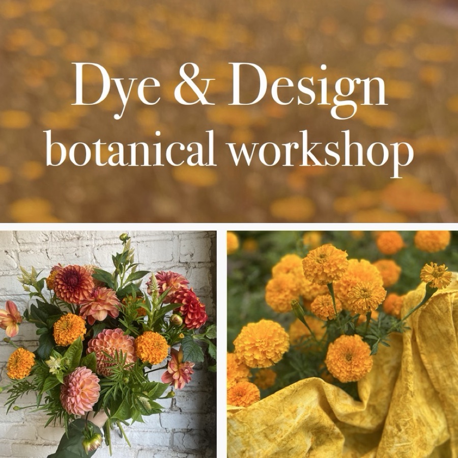 Dye + Design - a botanical workshop