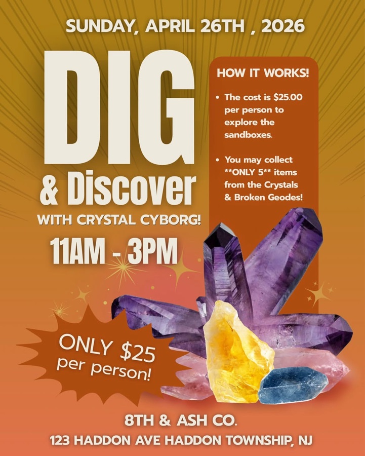 Dig & Discover