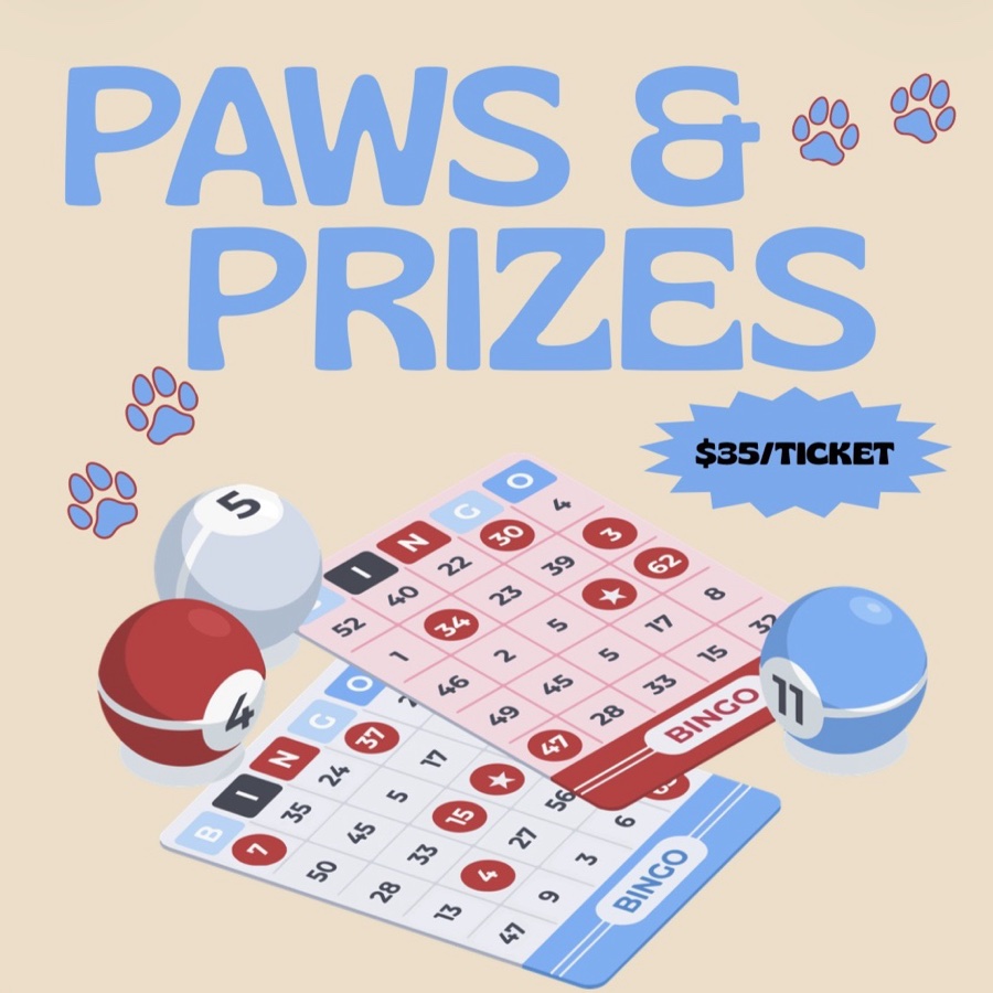 Paw & Prizes BINGO NIGHT!