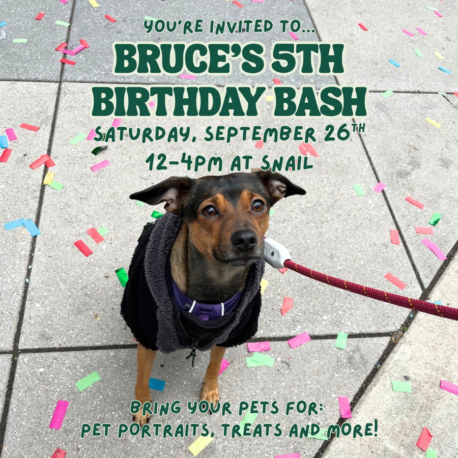 Bruce’s 5th Birthday Bash