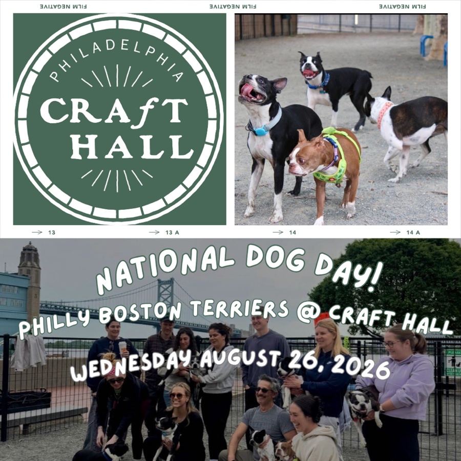 Philly Boston Terriers @ Craft Hall
