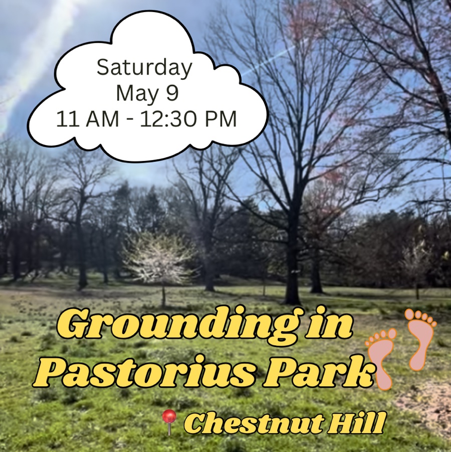 Grounding in Pastorius Park