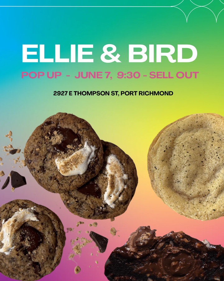 Ellie & Bird Pop Up!