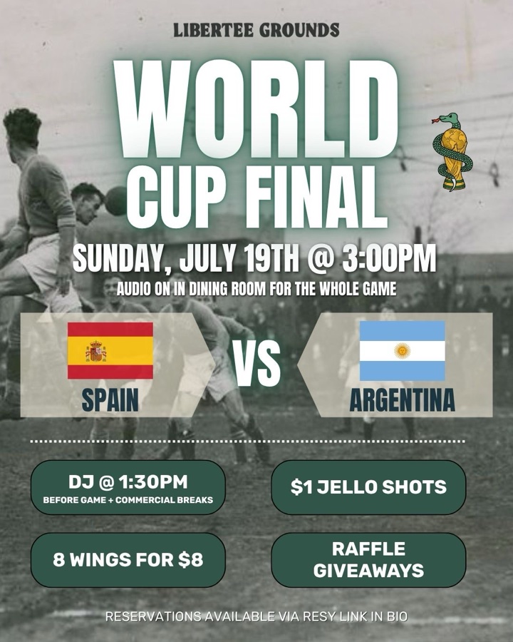 World Cup Final @ LG