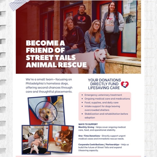 Street Tails Animal Rescue (STAR)