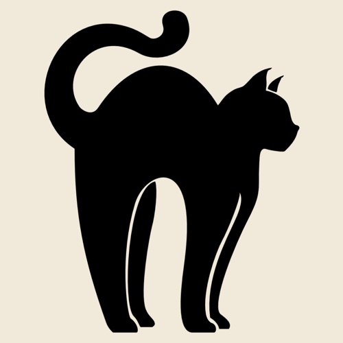 The Black Cat Studio